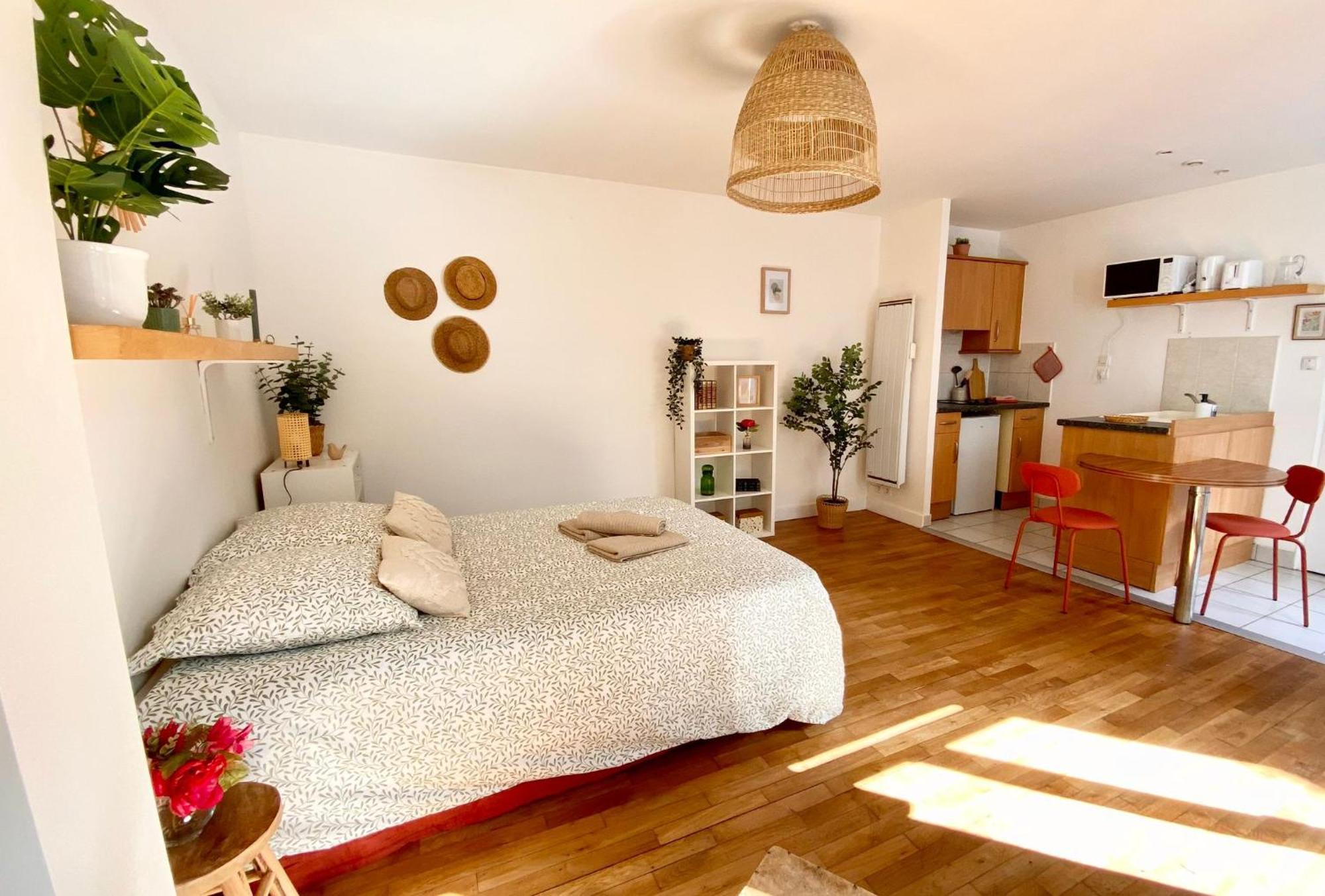 Apartment Proche Du Theatre Tours